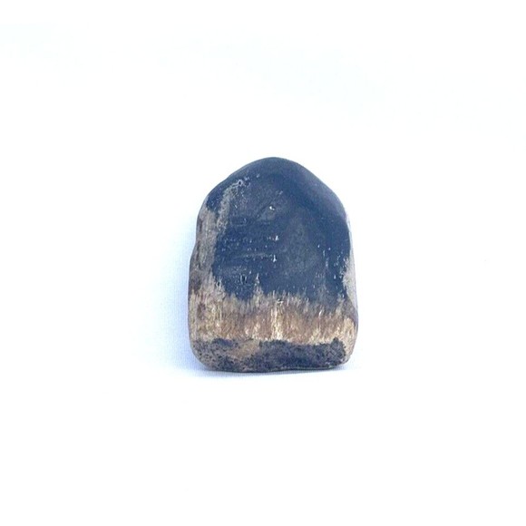 Petrified Wood From Indonesia 2.5" - Picture 4 of 12
